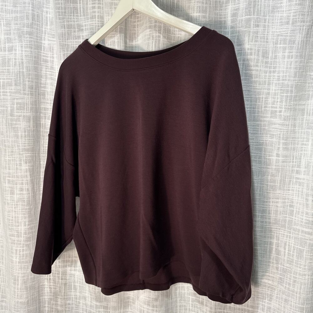 Eileen Fisher Boat Neck Dolman Sleeve Minimalist Top L/XL Brown